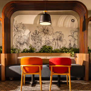Diseño Comercial